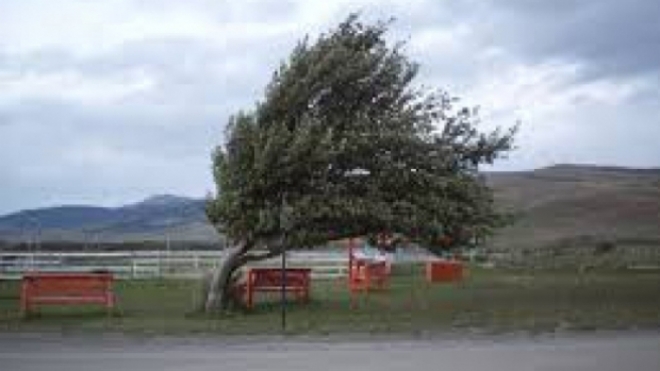 Atenţionare cod galben de vânt, în Dobrogea