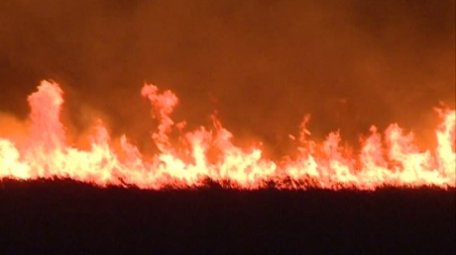 INCENDIU în Biosferă