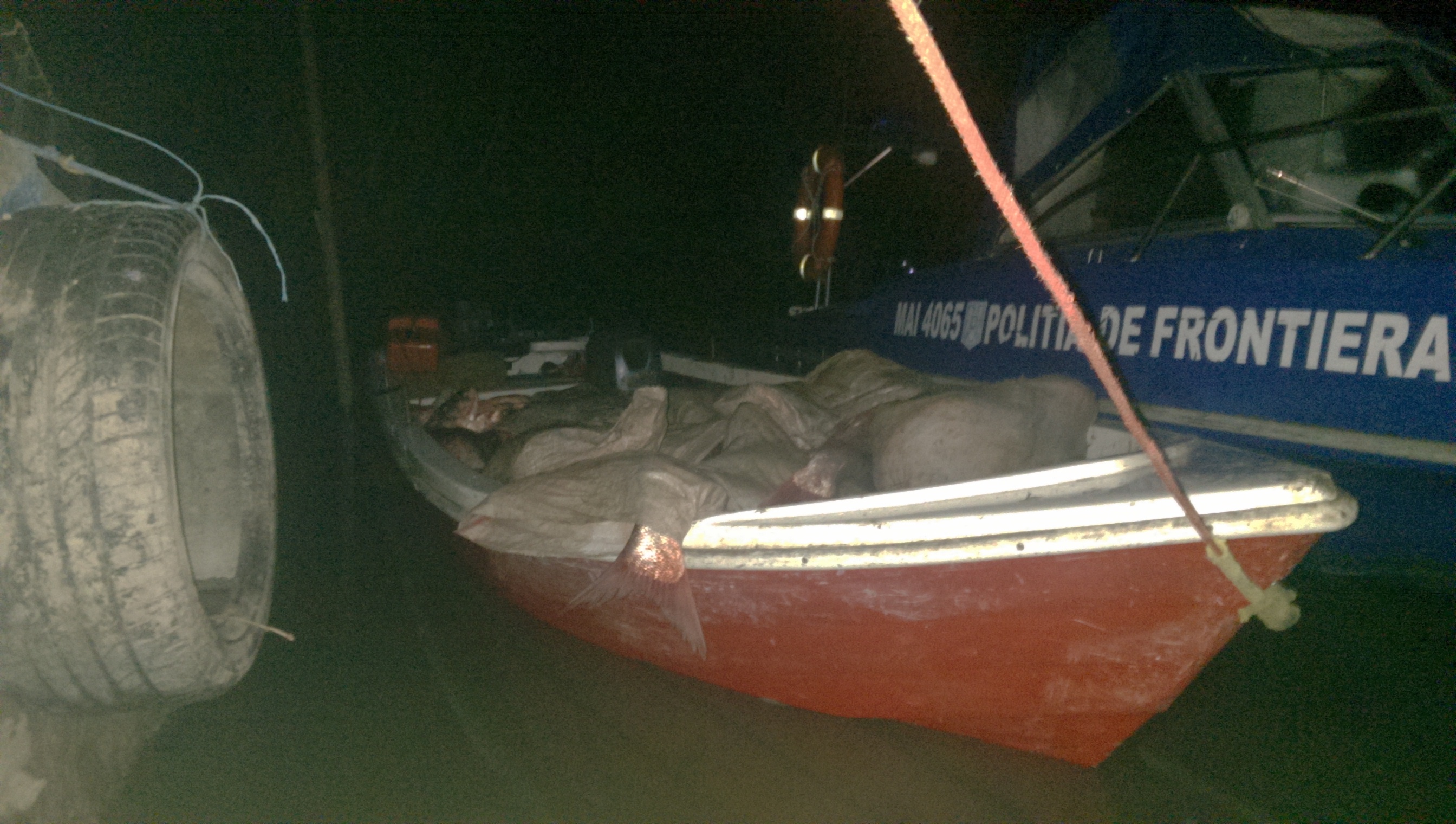 TULCEA. O tonă şi jumătate de peşte, confiscată pe Dunăre – FOTO