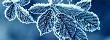 HOROSCOP, 29 Decembrie 2015