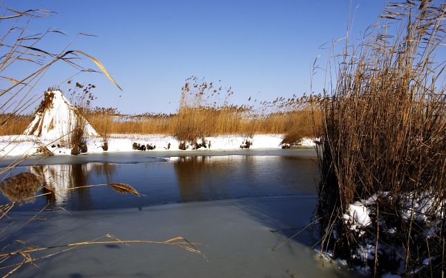 Revelion în Delta Dunării