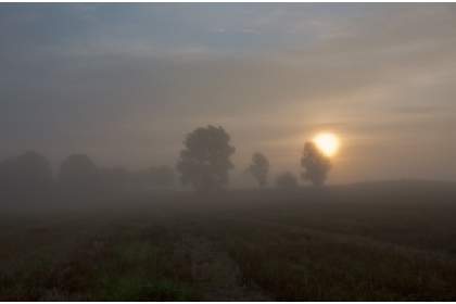 Ceaţă şi burniţă în Dobrogea