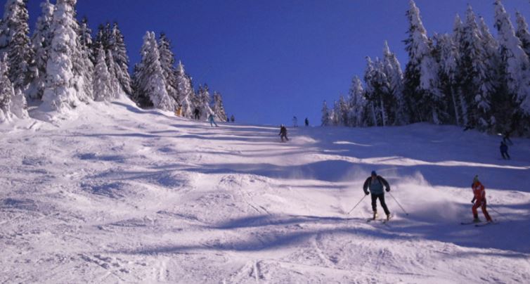 Unde se poate schia în România