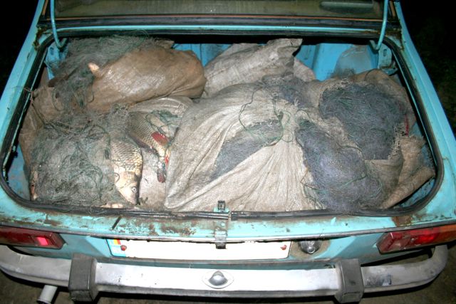 Bărbat prins la Năvodari cu 100 de kilograme de pește în mașină