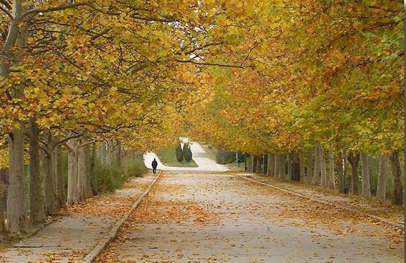 Vreme deosebit de rece, în această dimineaţă, în Dobrogea