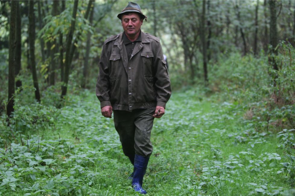 Director Romsilva trimis în judecată pentru abuz în serviciu, cu consecinţe deosebit de grave