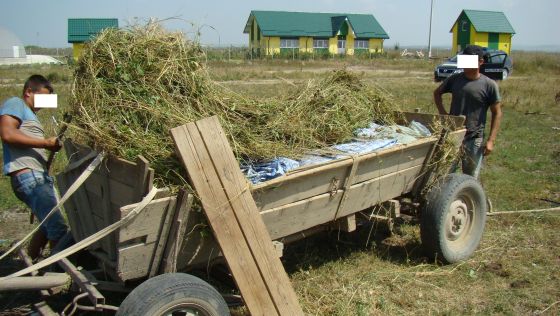 Căruţă cu podea dublă, metodă inedită de contrabandă