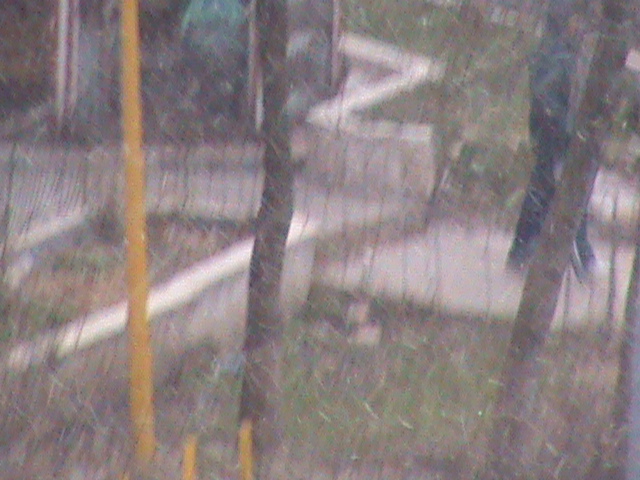 FOTO/VIDEO. Ninge pe gerul Bobotezei!