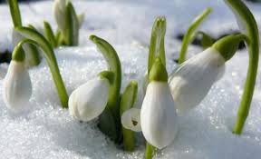 HOROSCOP, 5 februarie 2016
