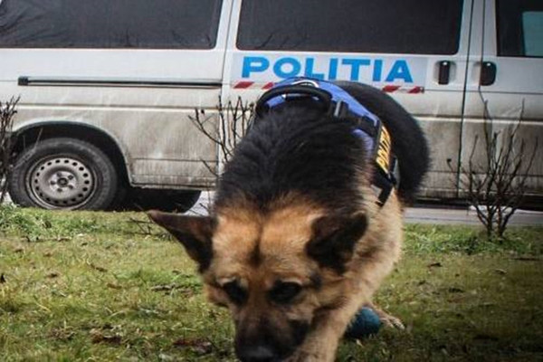 TULCEA: Angajat APIA, dispărut pe un câmp de lângă Smârdan
