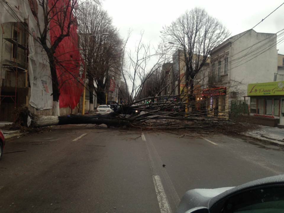 Vântul puternic a creat probleme serioase. Inventarul pagubelor din municipiul Constanţa