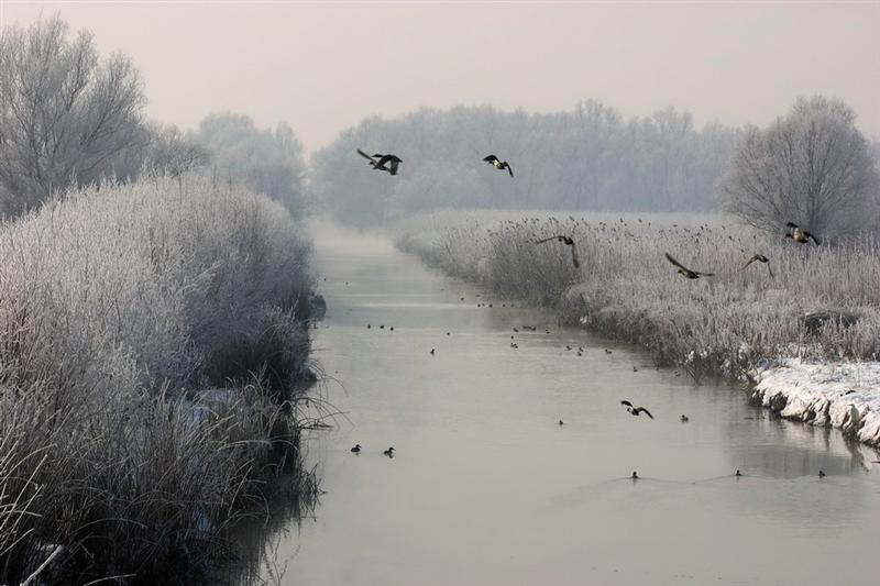 TULCEA. Probleme, doar cu transportul pe canalele Dunării
