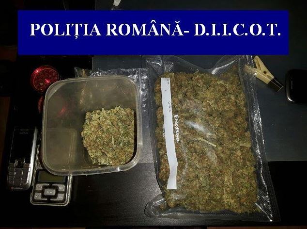 Reţea de traficanţi de droguri, anihilată de poliţiştii din Călăraşi