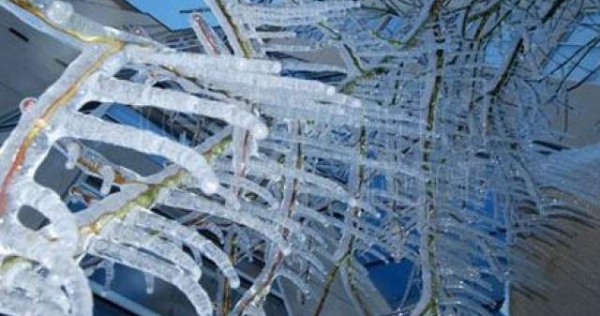 O masă caldă pentru persoanele fără adăpost din zona Gării Constanța