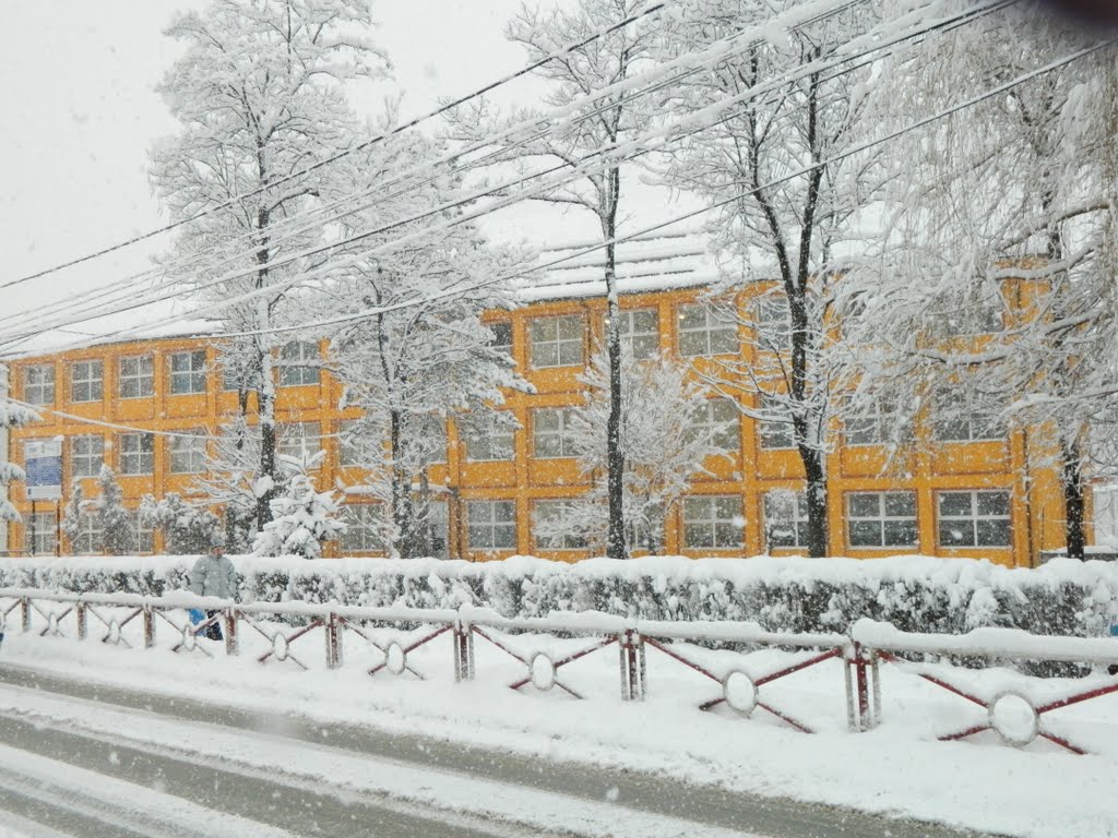 UPDATE – Cursuri suspendate, marţi, în şcoli din 30 de localităţi din judeţul Constanţa