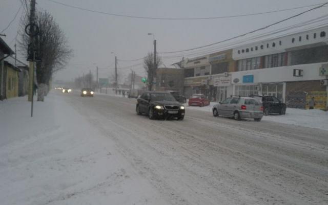 CONSTANȚA: Cum au acționat autoritățile în municipiu