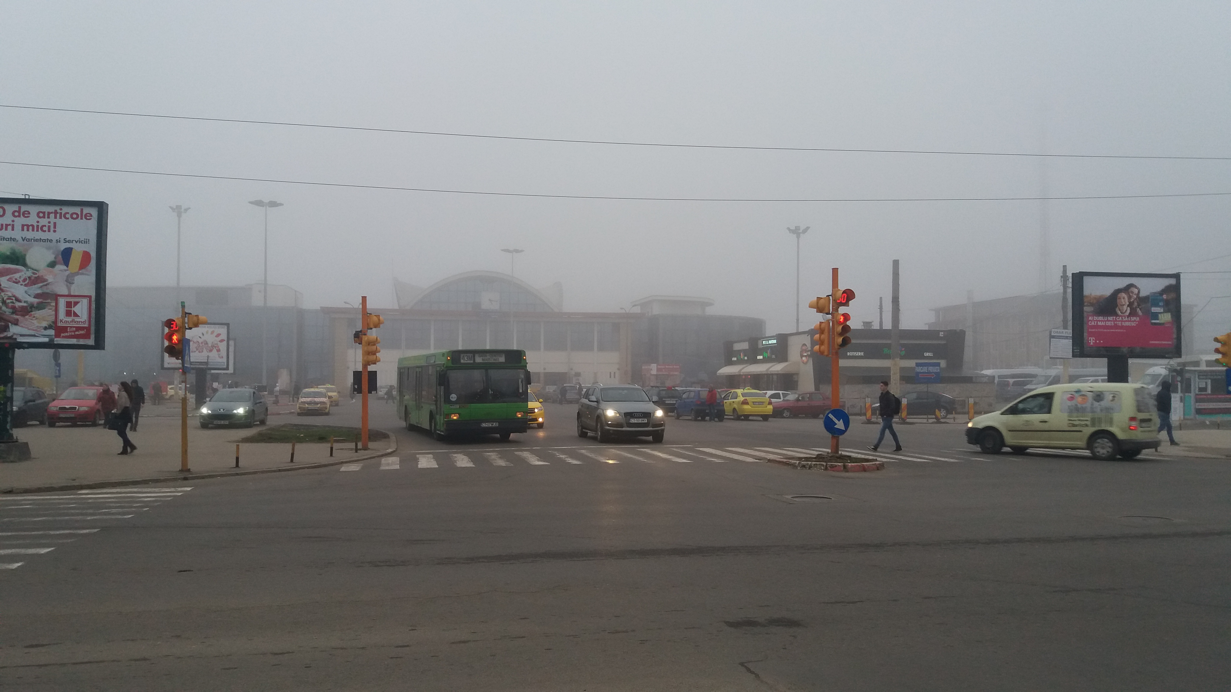 CEAŢĂ densă în Dobrogea
