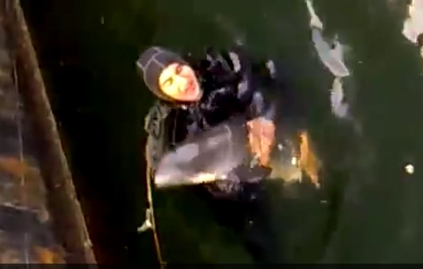 VIDEO – Portul CONSTANŢA. Scafandrii ajută o femelă delfin să nască!