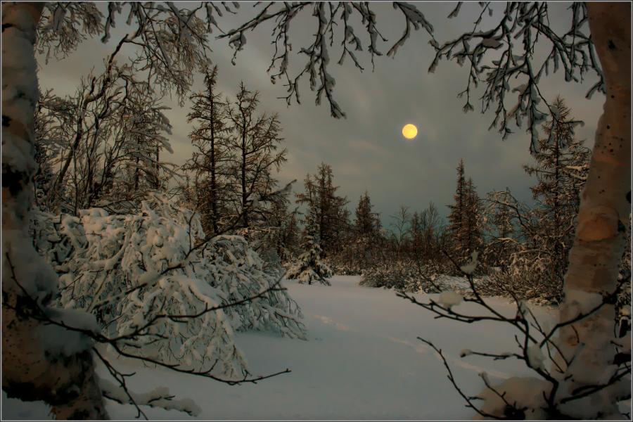 HOROSCOP, 9 februarie 2016