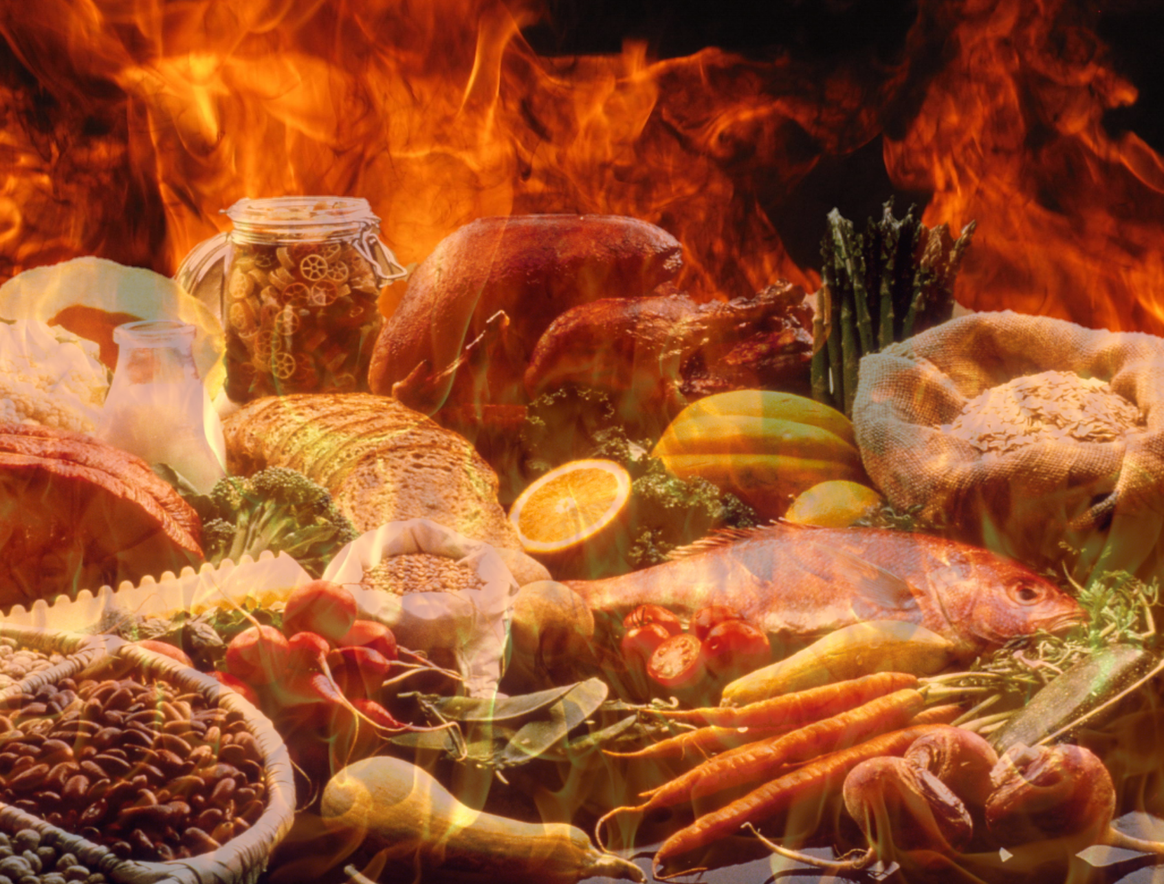 CONSTANȚA: Peste 14 tone de carne, pește, lactate și ouă, retrase de la vânzare de DSVSA