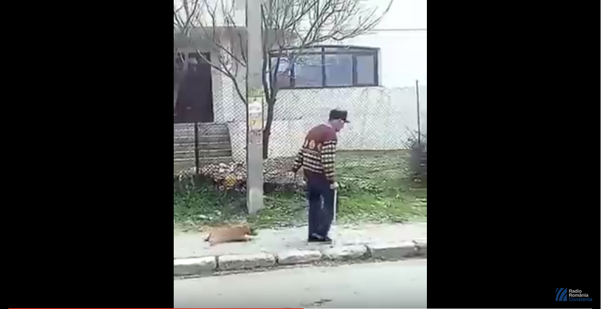 VIDEO: Un bătrân din Tulcea MALTRATEAZĂ un câine