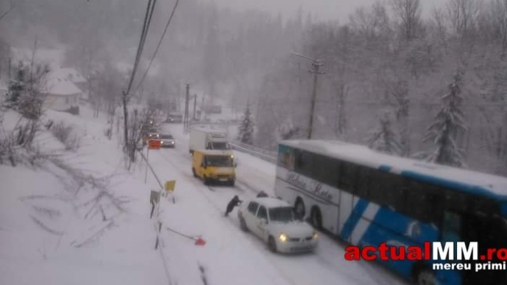 Soare pe litoral, VISCOL în Maramureș