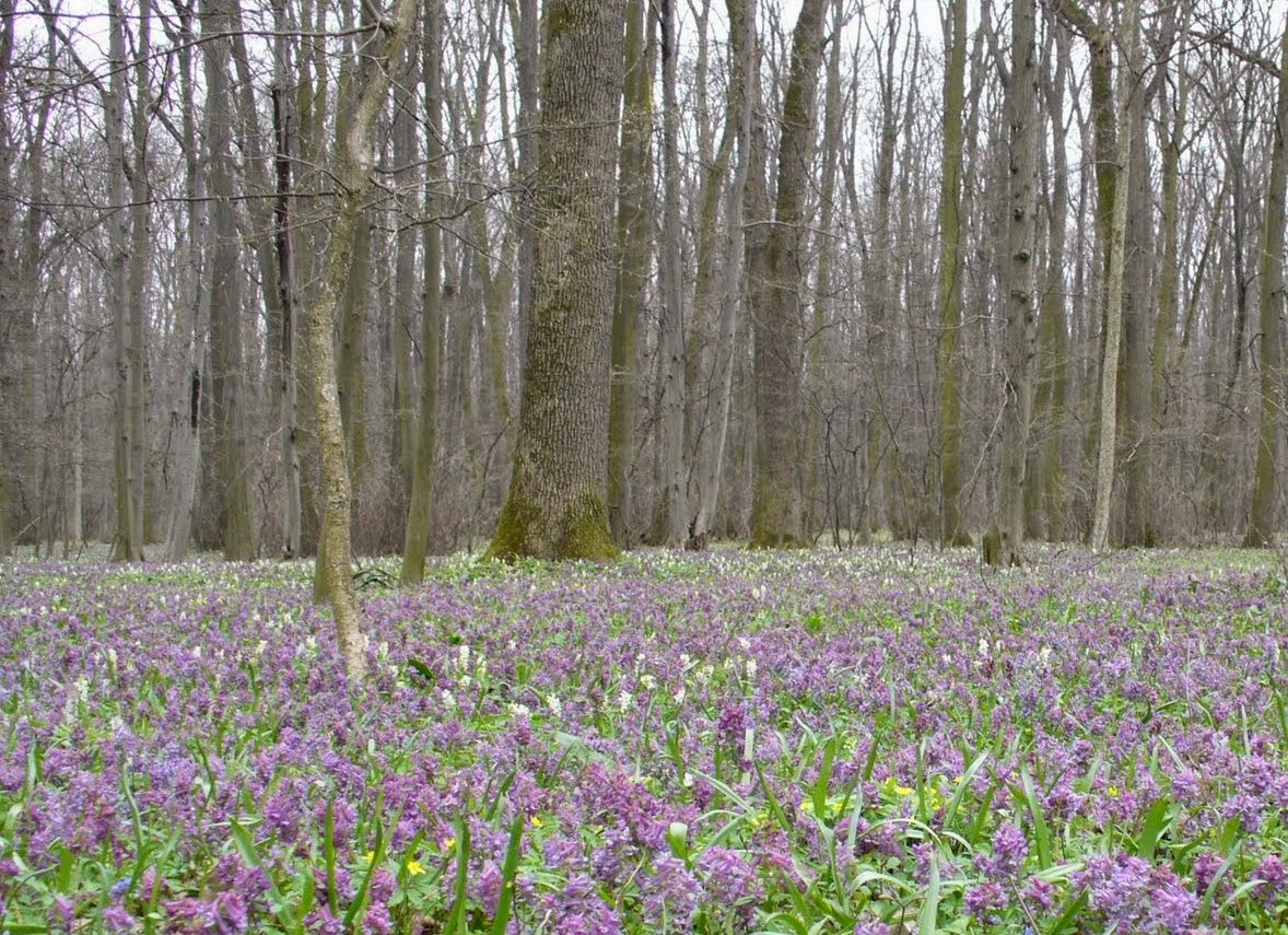 Vremea în Dobrogea rămâne frumoasă, dar rece