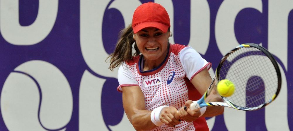 Monica Niculescu nu scapă de cehoaice