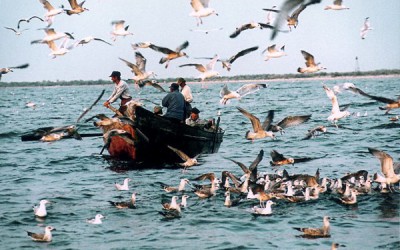 AUDIO – A început eliberarea permiselor UNICE de pescuit în Delta Dunării