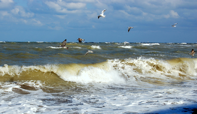 Dobrogea, sub stăpânirea VÂNTULUI