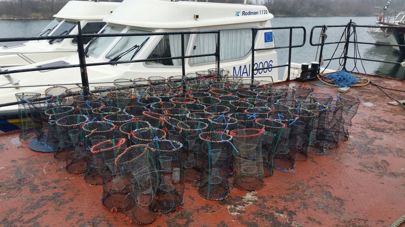 „Marinari” fără brevet, depistaţi de poliţiştii de frontieră