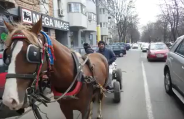 De ce au reapărut căruțele pe străzile din Constanța