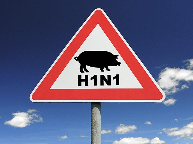 CRAIOVA: Deces cauzat de gripa porcină