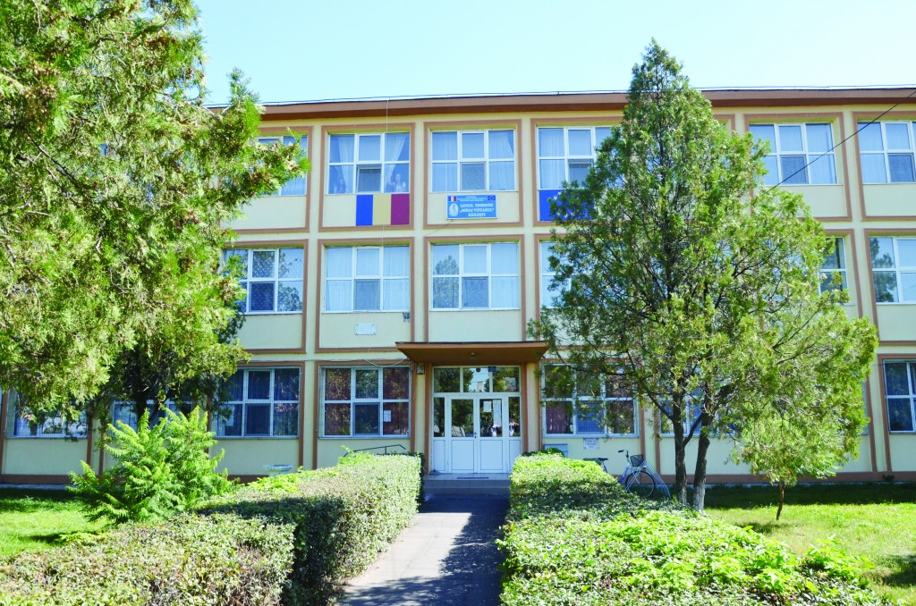 O elevă din Băileşti s-a calificat la trei olimpiade naţionale!