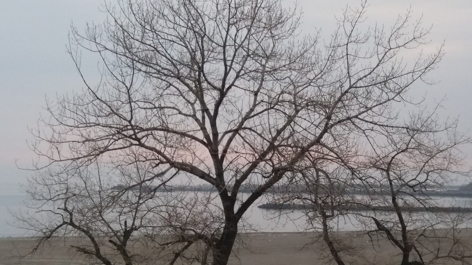 Semne de primăvară, în Dobrogea