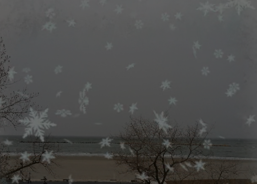 VIDEO: Ninge în Mamaia!