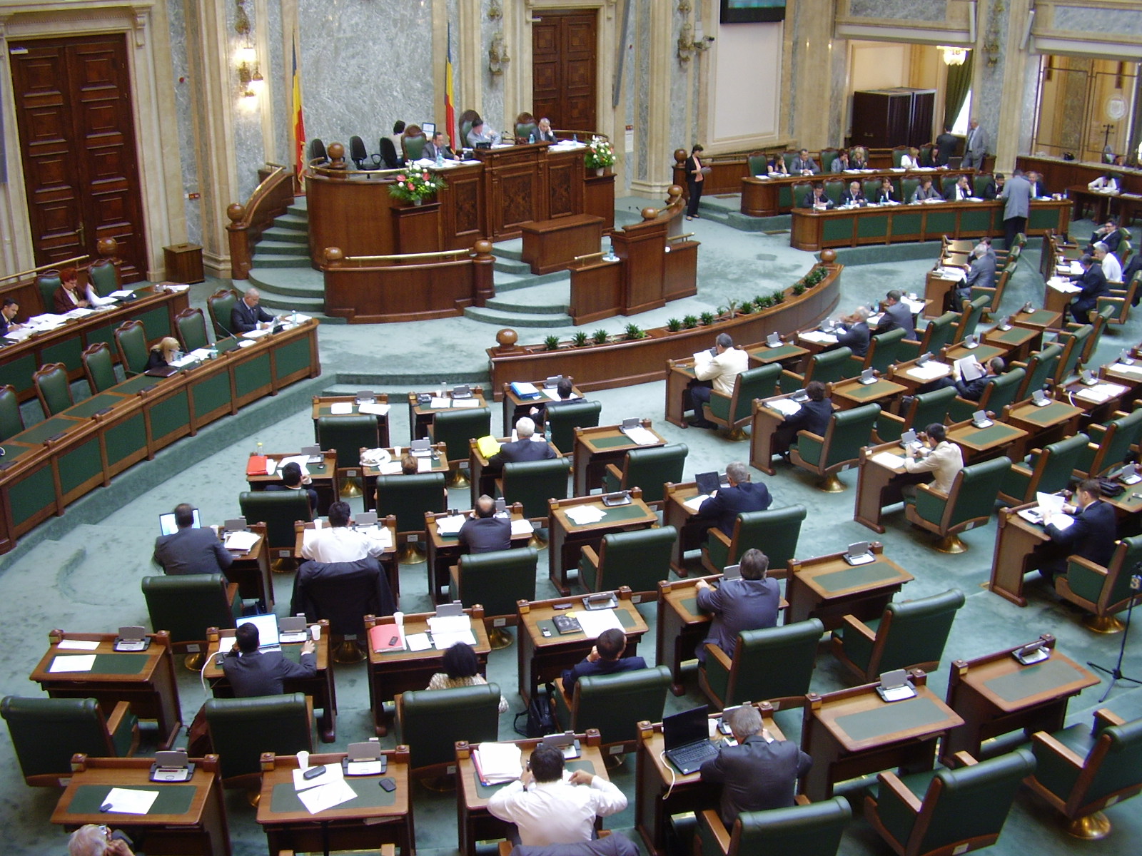 Senat/Familia sau reprezentantul legal al minorului sau adultului cu handicap accentuat – scutire de la plata chiriei la stat