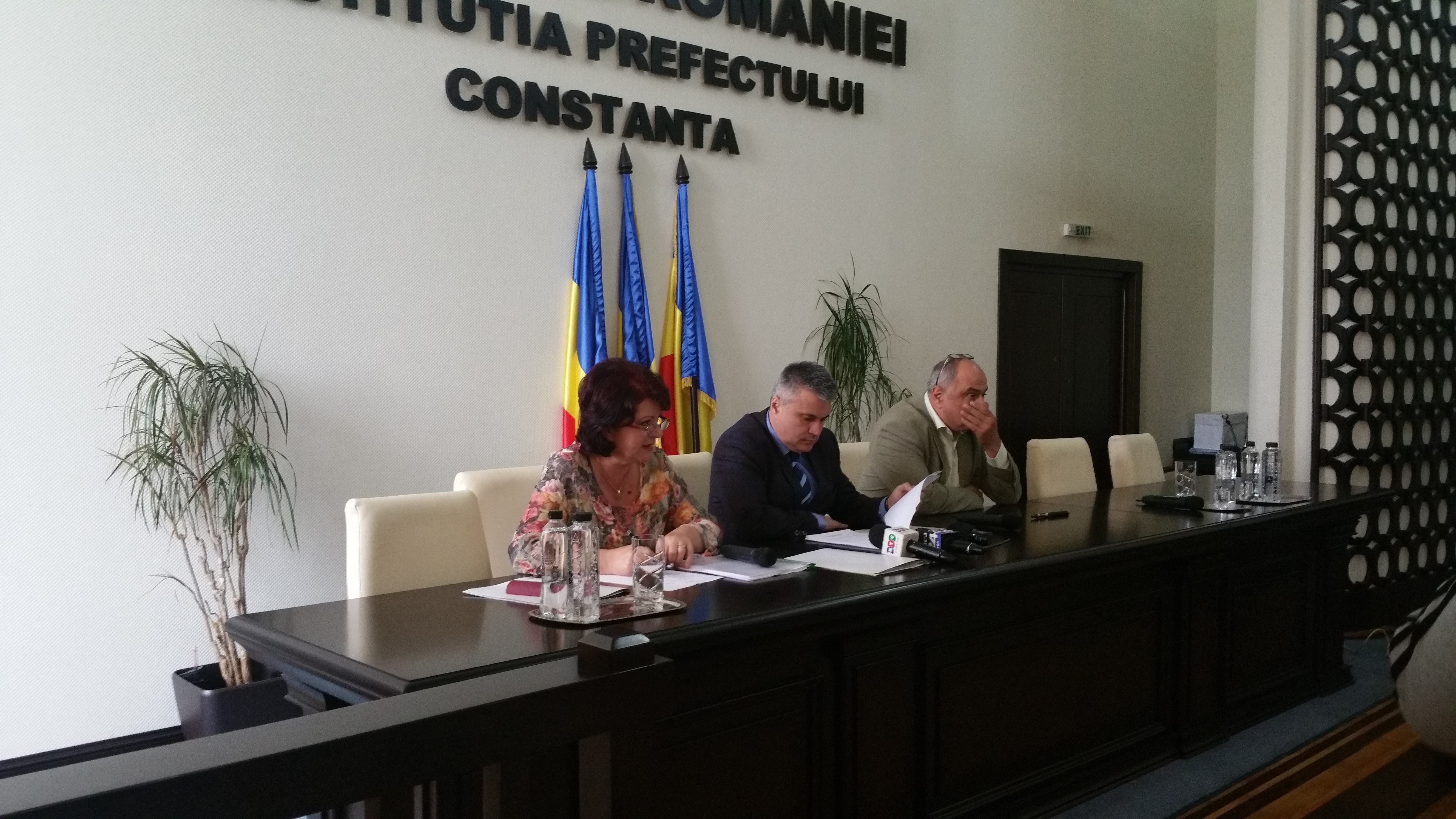 CJC a comandat o expertiză pentru lucrările la situl arheologic de la Capidava