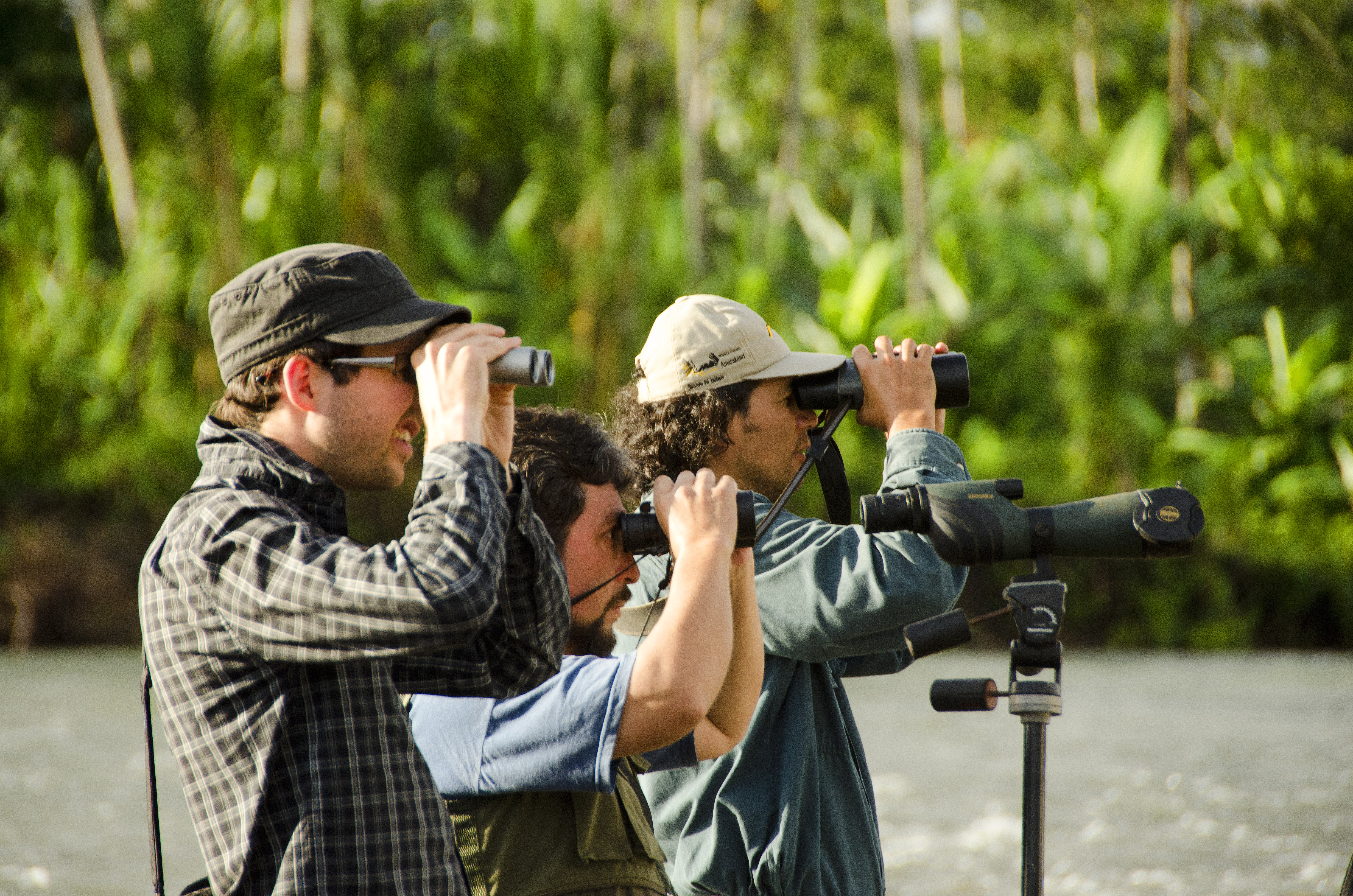 Tulcea importă un hobby: birdwatching la Caraorman