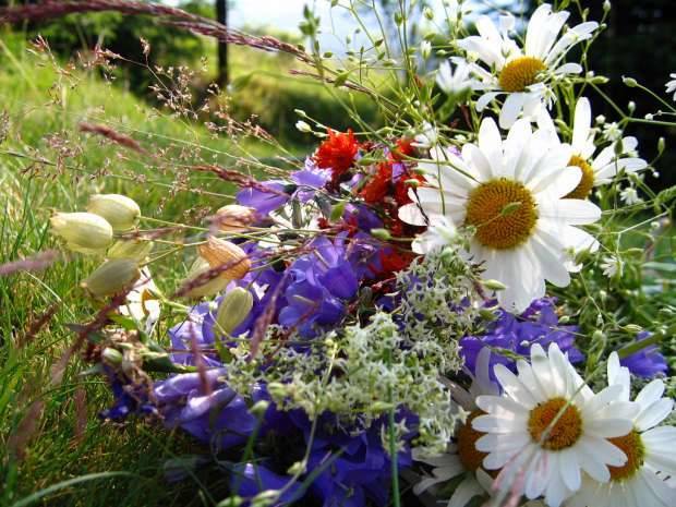 HOROSCOP, 3 mai 2016