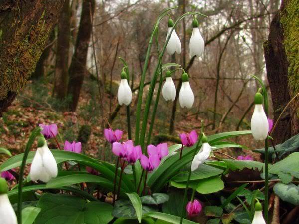 HOROSCOP, 30 aprilie 2016