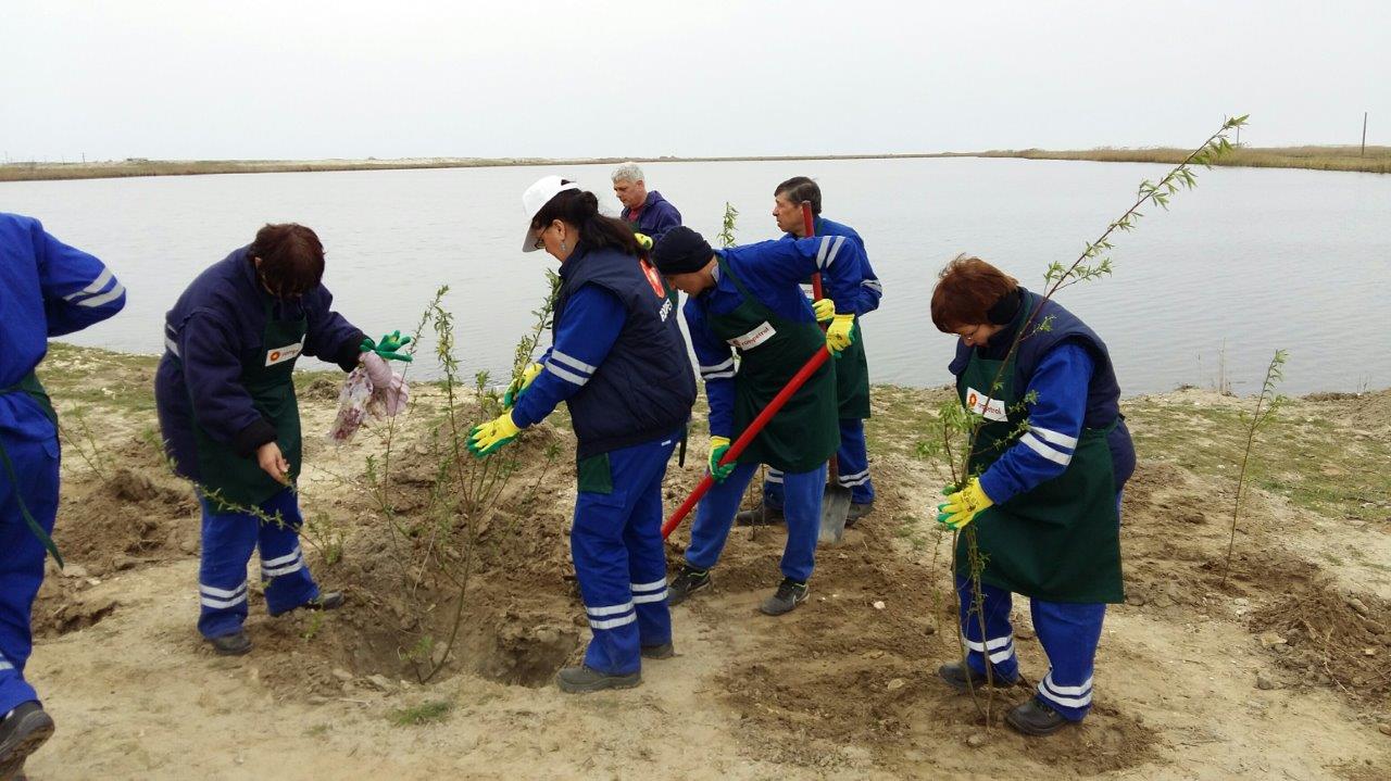 CONSTANȚA: 2.200 de copaci plantați de voluntari în Corbu