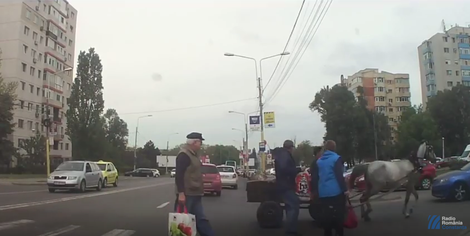 VIDEO: Pieton acroșat de o căruță în Constanța