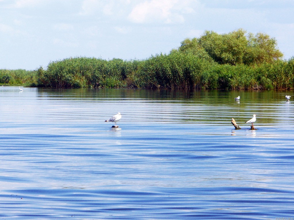 Carta peisajul rural deltaic în patrimoniul universal UNESCO