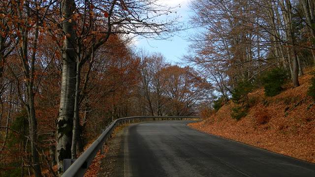 DN1E Poiana Brașov-Râșnov, închis de Florii(UPDATE)