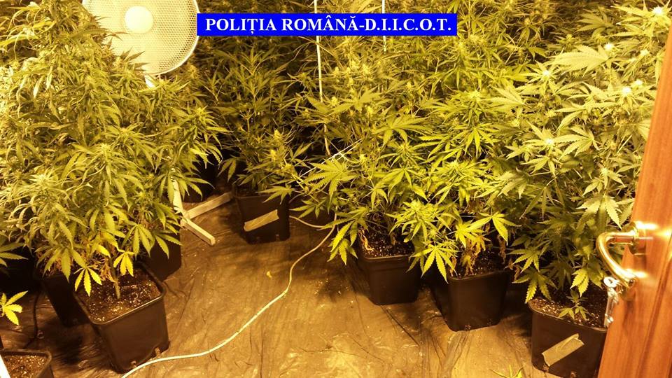 Caporal de la Unitatea de Radiolocaţii Sulina, reținut pentru trafic de droguri!
