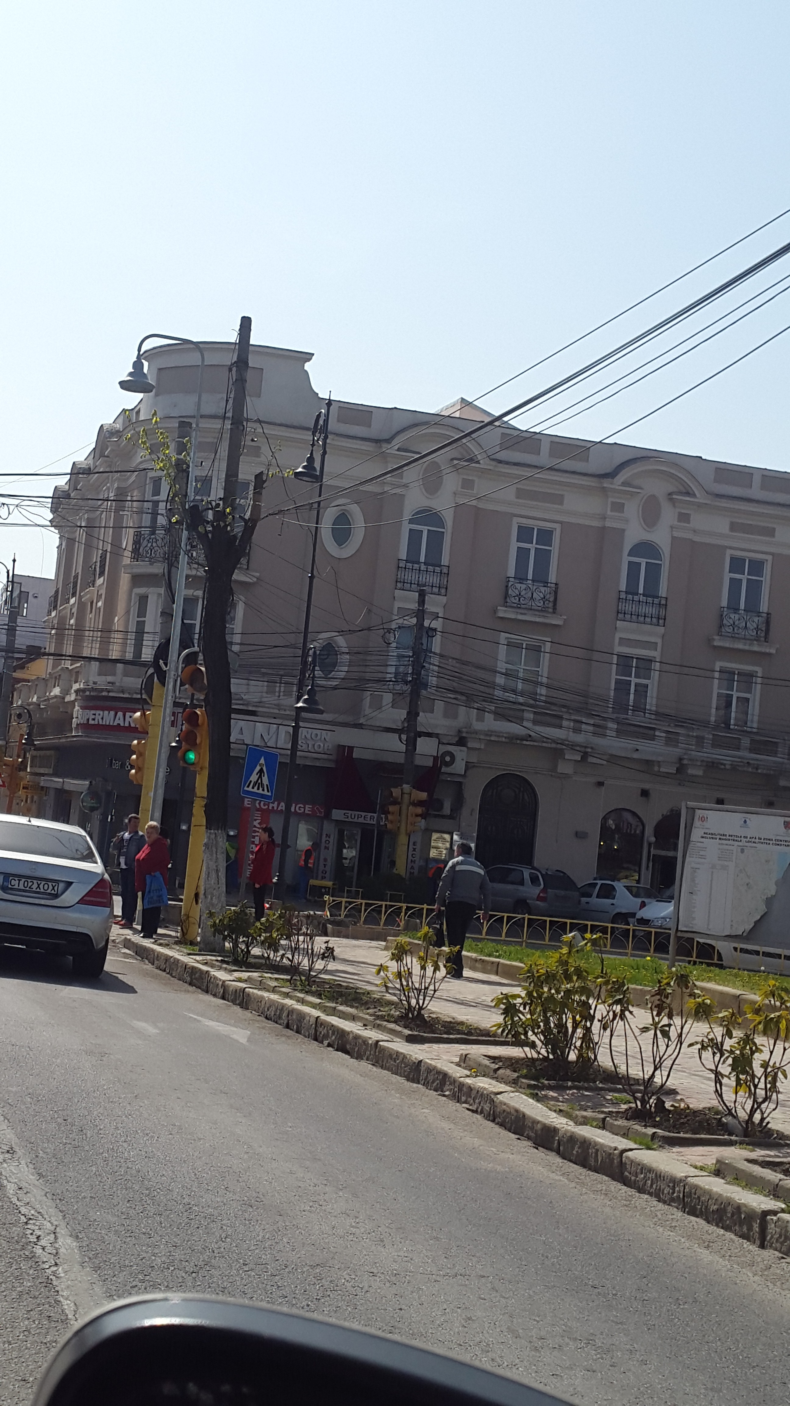Constănțenii nu sunt mulțumiți de toaletarea copacilor