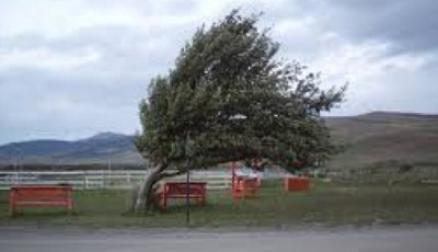 Delta Dunării. Cod GALBEN de VÂNT, prelungit