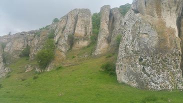 FOTOREPORTAJ – Curățenie la Cheile Dobrogei