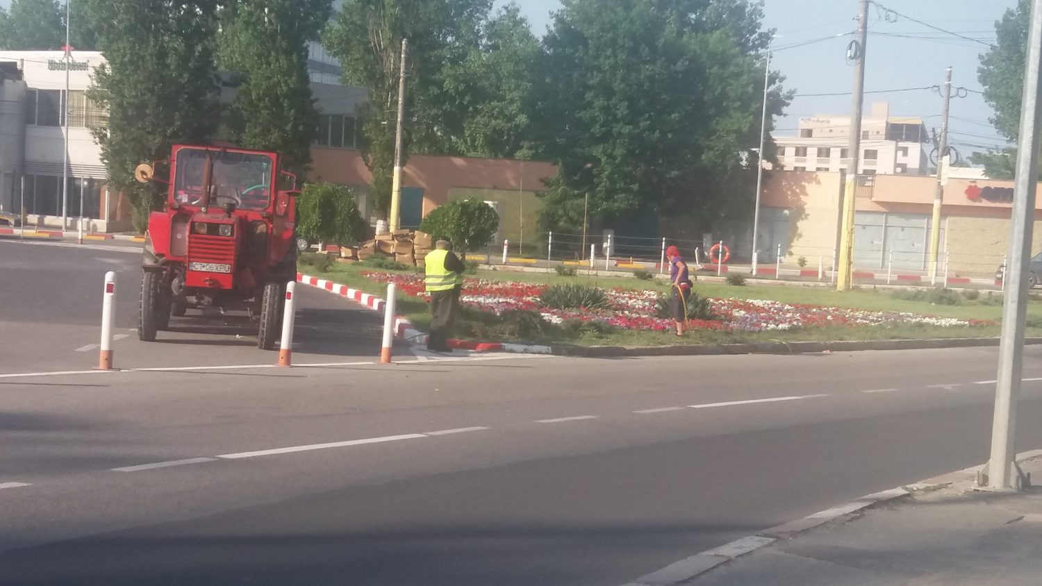 MAMAIA. Flori să fie, că TRACTOARE, destule…